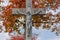 Old statue of Jesus Christ on the cross in autumn. Crucifixion, religion and spirituality