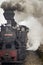 Old Steam train of Bucovina In Moldovita