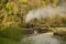 Old steam train in the mountains of Romania, Maramures county