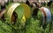 Old steel rims of large tractors