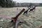 Old steel rusty anti tank roadblocks laid on grass with forest in the background on a gloomy dark day of winter without