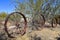 Old steel wheel serves as a backyard decoration