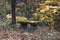 Old stone bench covered with the moss