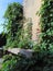 Old stone bench overgrown with plants, Italy.