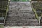 Old stone and brick stairway covered in various plants and moss