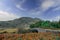 Old stone bridge in a beautiful country side. Small narrow road leads into mountains, field with red fern in foreground. Irish