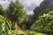 Old stone bridge over a little river. Natural park in Nordeste, Sao Miguel Island, Azores, Portugal