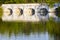 Old stone bridge over Vitek pond, Nova Hlina near Trebon, Jindrichuv Hradec district, Southern Bohemian, Czech Republic