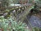 An old stone bridge at Whatcom Falls Park