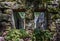 Old stone building with two empty windows and lots of moss and ferns growing on the rocks