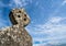 Old stone Celtic cross gravestone