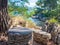 Old stone and chairs made from rocks hidden