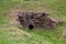 Old stone drain with an outlet pipe in a rural field with green and yellow grass