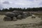 Old stone grave like a big dolmen in Drenthe Holland