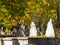 Old stone graves at autumn leaves background.