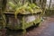 old stone horse trough with moss and plants
