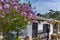 Old stone house and violet flowers in village of Aliki, Thassos island, Greece