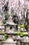 Old stone lanterns at Kasuga Grand Shrine, Nara Japan