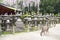 Old stone lanterns at Kasuga Grand Shrine, Nara Japan