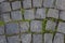 Old stone pavement of blue stones of various shapes and sizes with green grass sprouted. rough surface texture