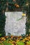 Old stone plaque background surrounded by plants