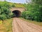 Old stone railway arch is overgrown with grass and bushes