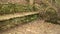 Old stone ruined bench covered with green moss and a spring creek with water in the forest