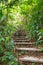 Old stone stair in green tropical forest as part of hiking trail. Jungle.
