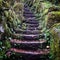 Old stone stairs forest moss