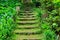 Old stone stairs among the grass