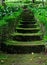 Old stone stairs among the grass