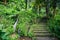 Old stone stairs in the jungle with a waterfall