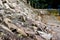 Old Stone Stairs, Wall and Floor.