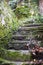 Old stone stairs and walls covered with moss