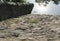 Old stone stairs in the water