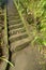 Old stone steps leading in to tropical jungle trekking and walki