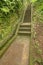 Old stone steps leading in to tropical jungle trekking and walki