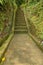 Old stone steps leading in to tropical jungle trekking and walki