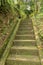 Old stone steps leading in to tropical jungle trekking and walki