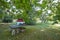 Old stone table and bench with garden and chestnut trees in a sunny day