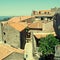 Old stone village with red tile roofs (Portugal )