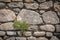 Old stone wall with lichen