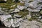 Old stones covered with moss, cobwebs, mushrooms