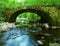 The old stony bridge of mountain stream in leaves forest, cold blurred water is running bellow.