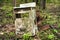 Old stove in the woods