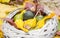 Old straw basket filled with baby pumpkins on the autumn colored leaves