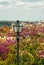 Old street lamp at Piazzale Michelangelo with blooming Judas trees and the view of Florence on background.