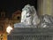 Old street light and lion sculpture on the 19th century leeds city hall building at night with old city building in the background