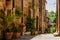 Old street in Pitigliano full of flowerpot