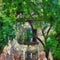 Old Stucco House and Large Leafy Green Tree, Oil Painting Style